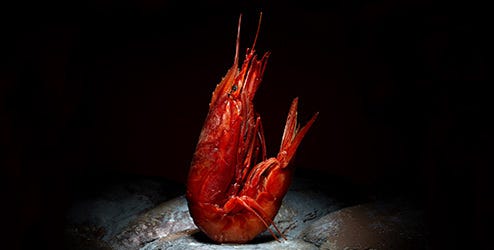 Seafood