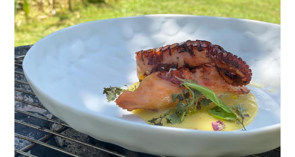 Barbecue grilled octopus tentacle with creamed potatoes