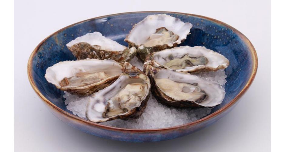 How to open oysters?