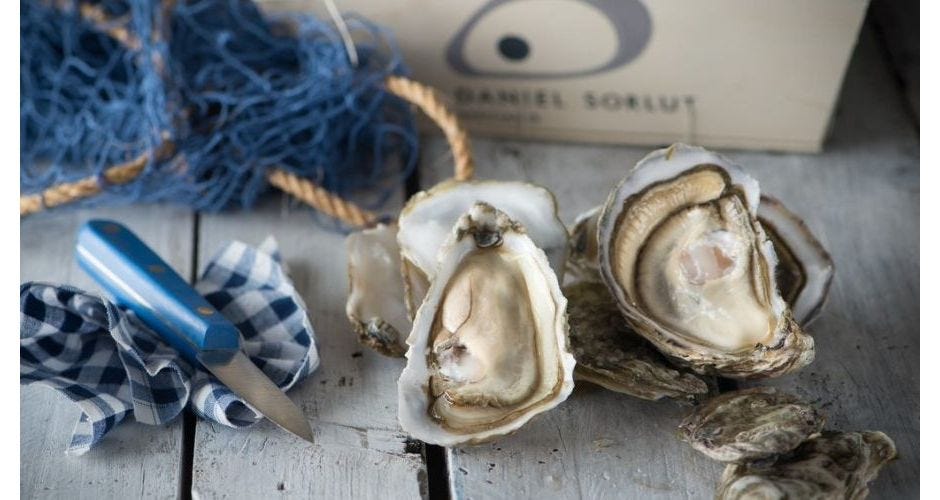 Oysters and champagne, but not only: how to eat oysters