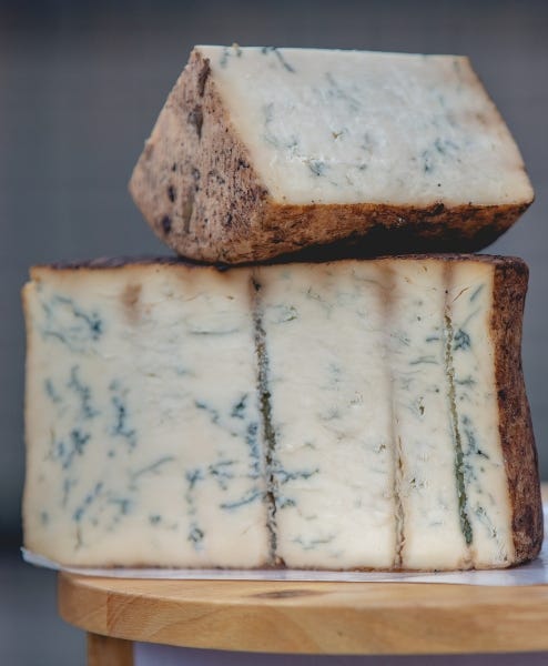 What is Gorgonzola cheese: Definition and Meaning - La Cucina Italiana